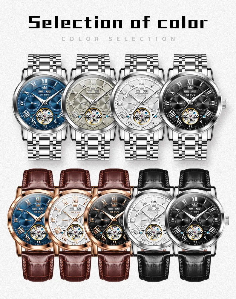 OLEVS 6668 Luxury Skeleton Automatic Mechanical Men Watch Top Brand Movement Roman Scale Calendar Waterproof Business Men Watch