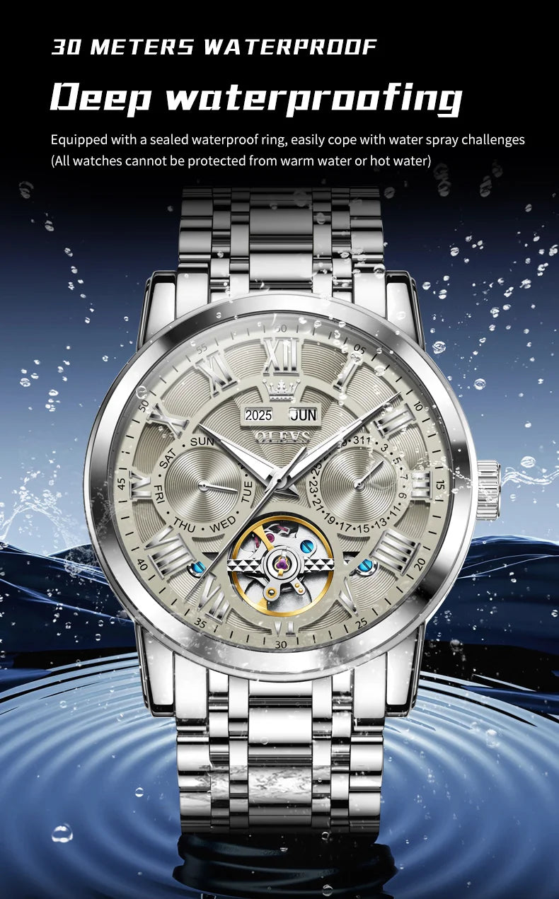 OLEVS 6668 Luxury Skeleton Automatic Mechanical Men Watch Top Brand Movement Roman Scale Calendar Waterproof Business Men Watch