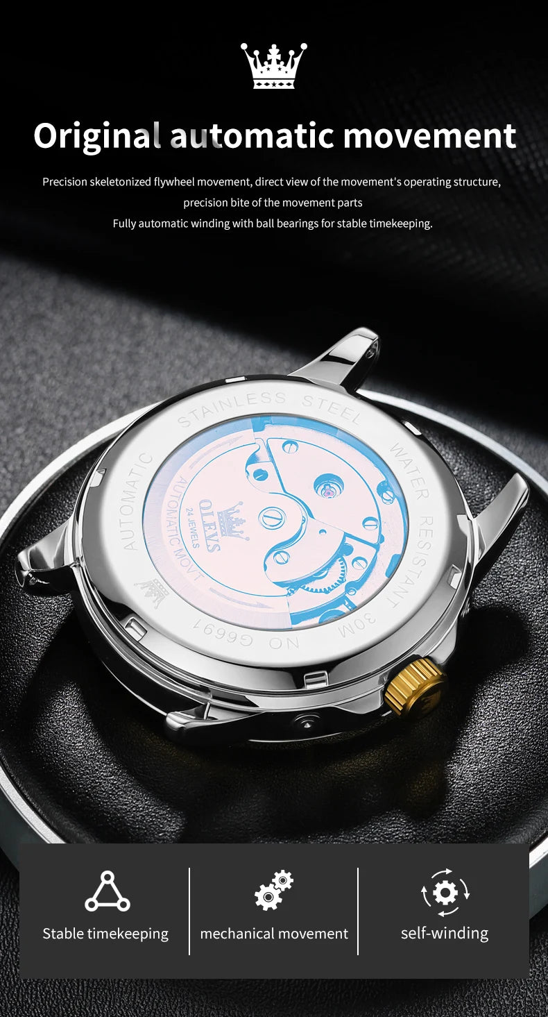 OLEVS Skeleton Multifunctional Men's Watch Automatic Mechanical Luxury Wrist Watch For Men Waterproof Stainless Steel Strap 6691