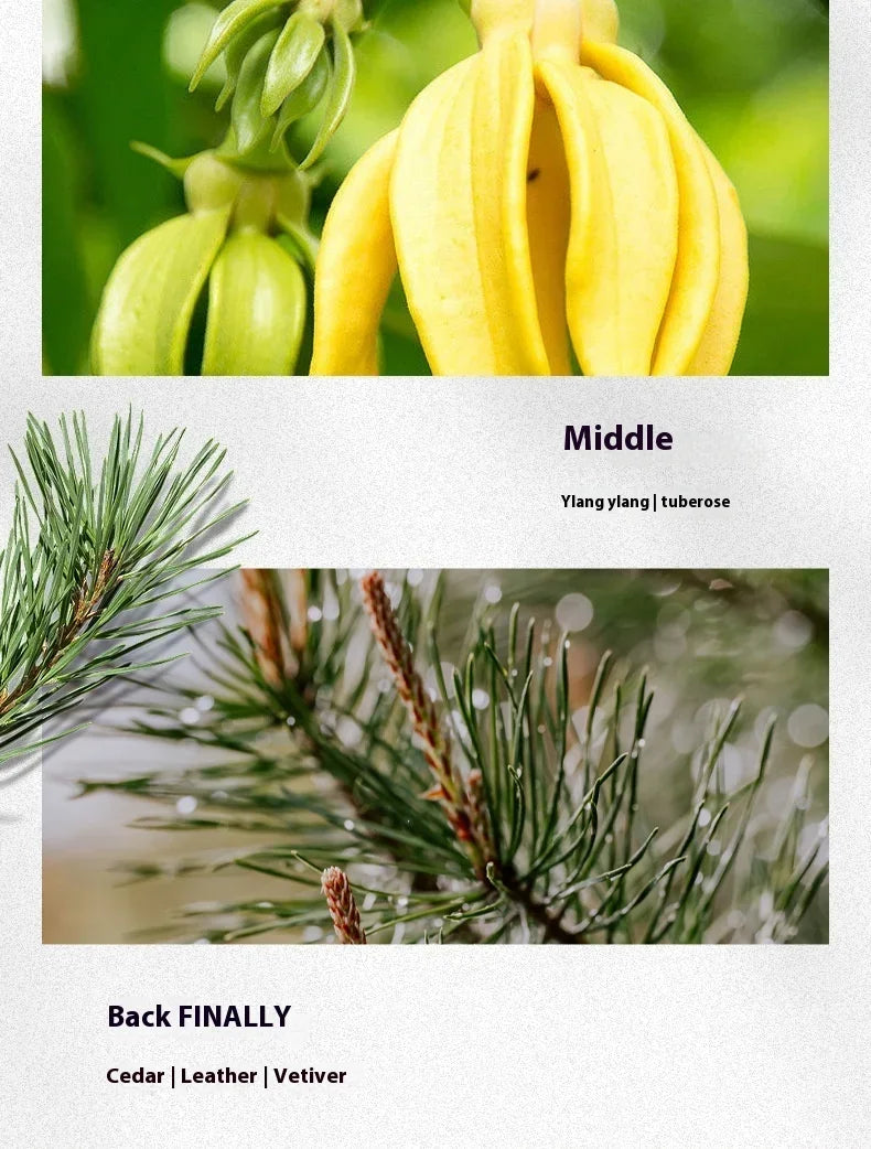 Wild Perfume For Man