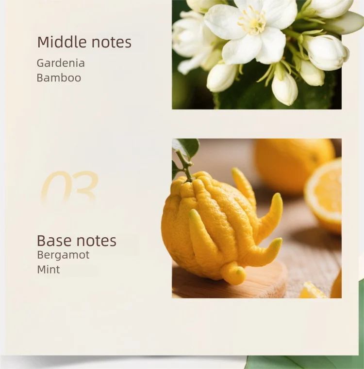 Nile Garden Women's Perfume