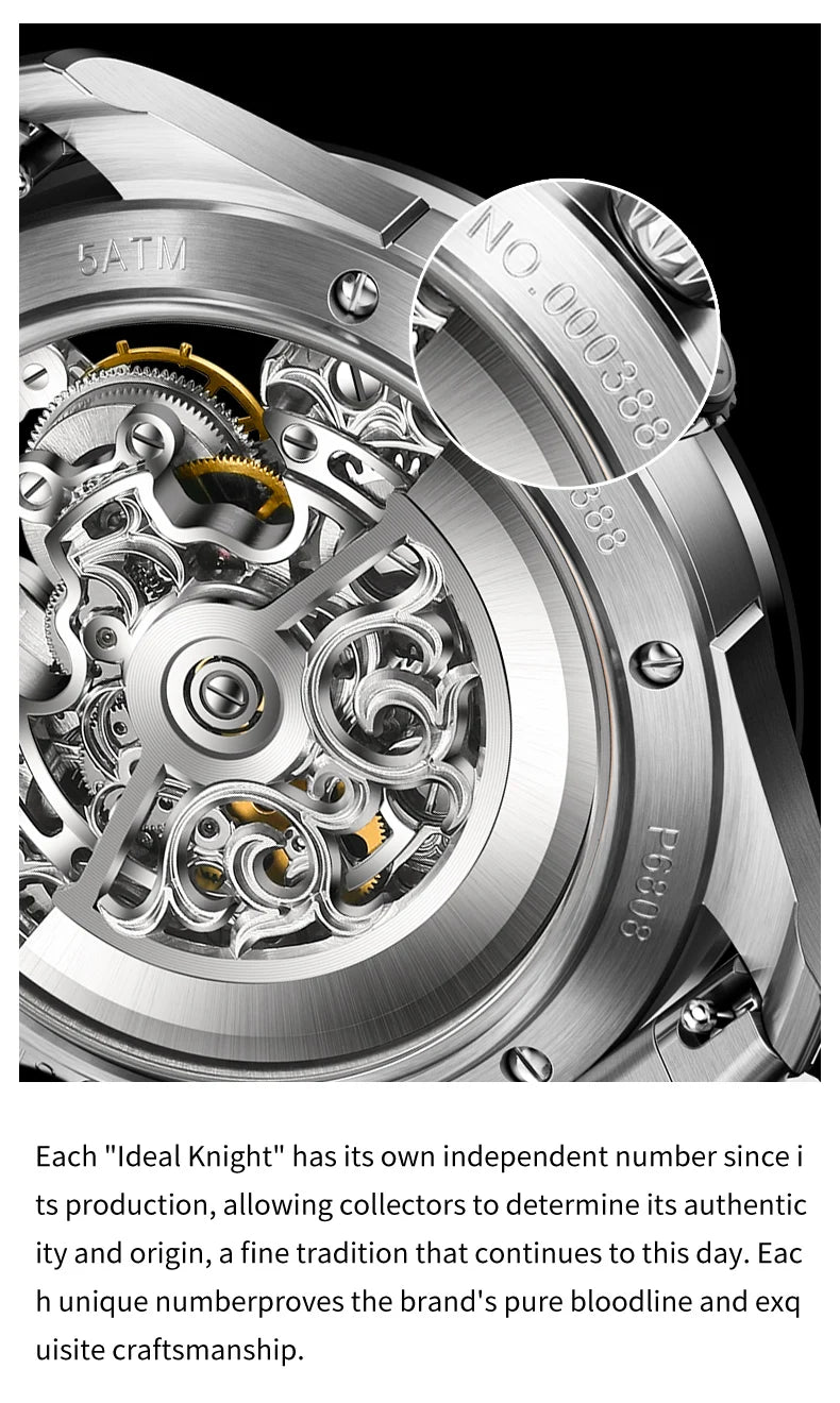 IDEAL KNIGHT Top Brand Luxruy Mens Watch Advanced Tourbillon Automatic Mechanical Watch Waterproof Luminous Dual Region Time