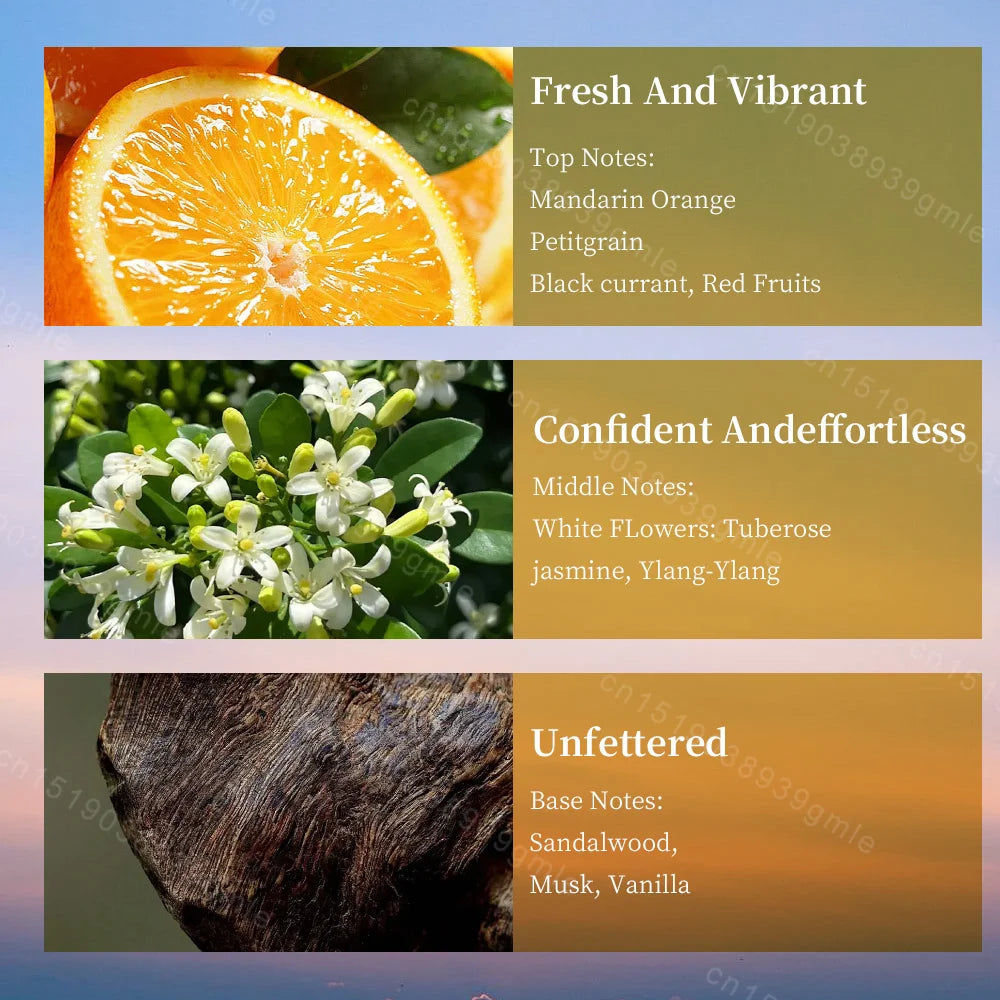 100ML Women Perfume Original Brand Eau De Parfum